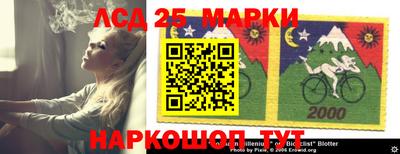 прущие грибы Шахты