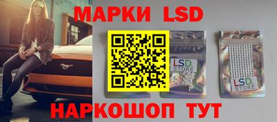 шишки Ярославль
