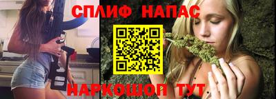 гашик Шебекино