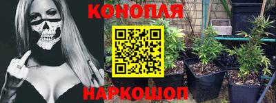 прущие грибы Шахты