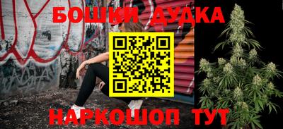 прущие грибы Шахты