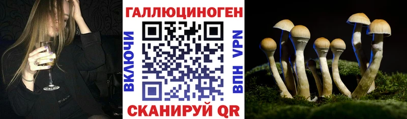 где продают наркотики  Анапа  Галлюциногенные грибы Psilocybe 