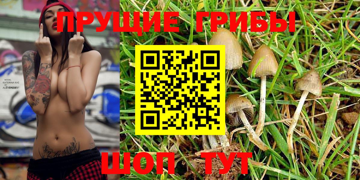 Галлюциногенные грибы Cubensis  Вход с VPN  Псилоцибиновые грибы Magic Shrooms  Анапа 